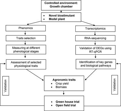 A dual-omics approach for profiling plant responses to biostimulant applications under controlled and field conditions